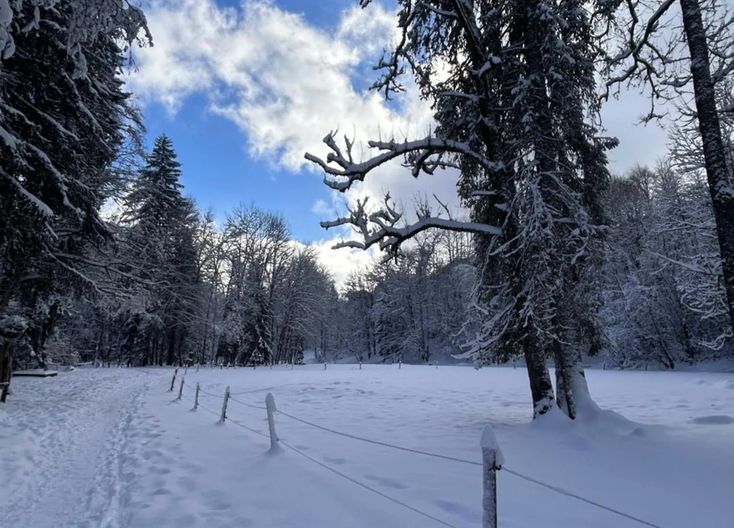 Guest house Chalet La Pastorale Hotel Morzine